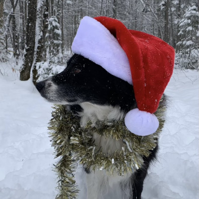 Ça chemine dans cheminée