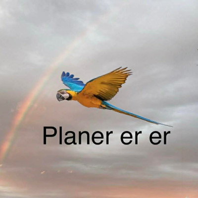 Planer er er