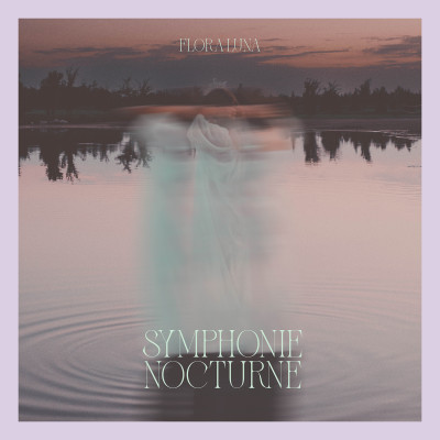 Symphonie nocturne