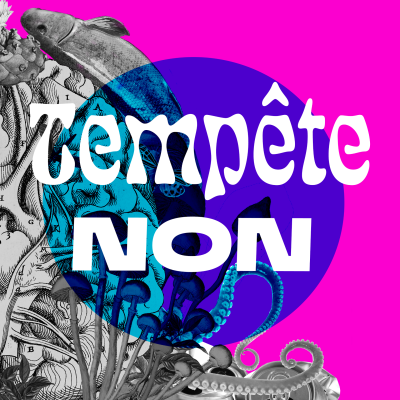 Non (version alternative)