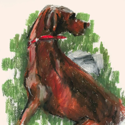 Simone (r.e.)